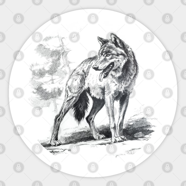 Wolf art Sticker by SakalDesign